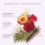 Stages Nutrition Shampoo + Condicionador + Óleo 60ml – Braé